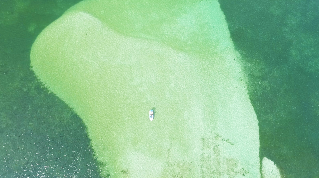 Aerial view of bright green ocean with a tiny boat floating across it.