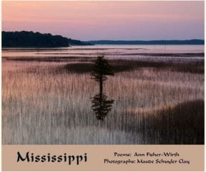 Mississippi Poems Photography Environment