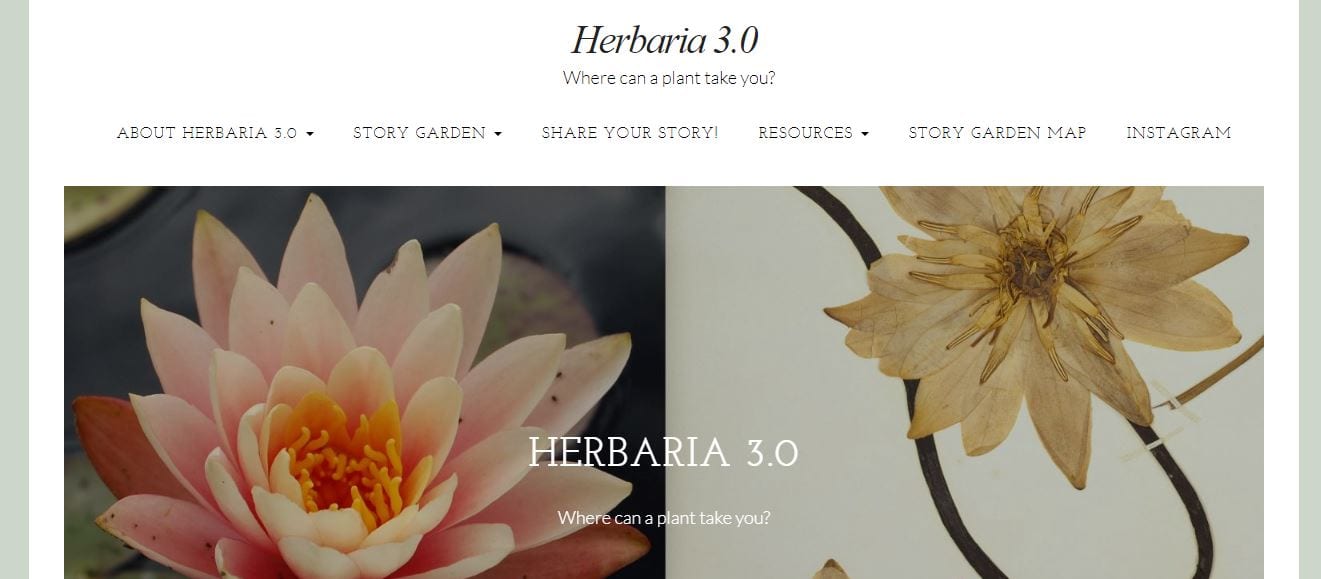 Herbaria 3.0 Plant Human Relationships Contemporary Stories