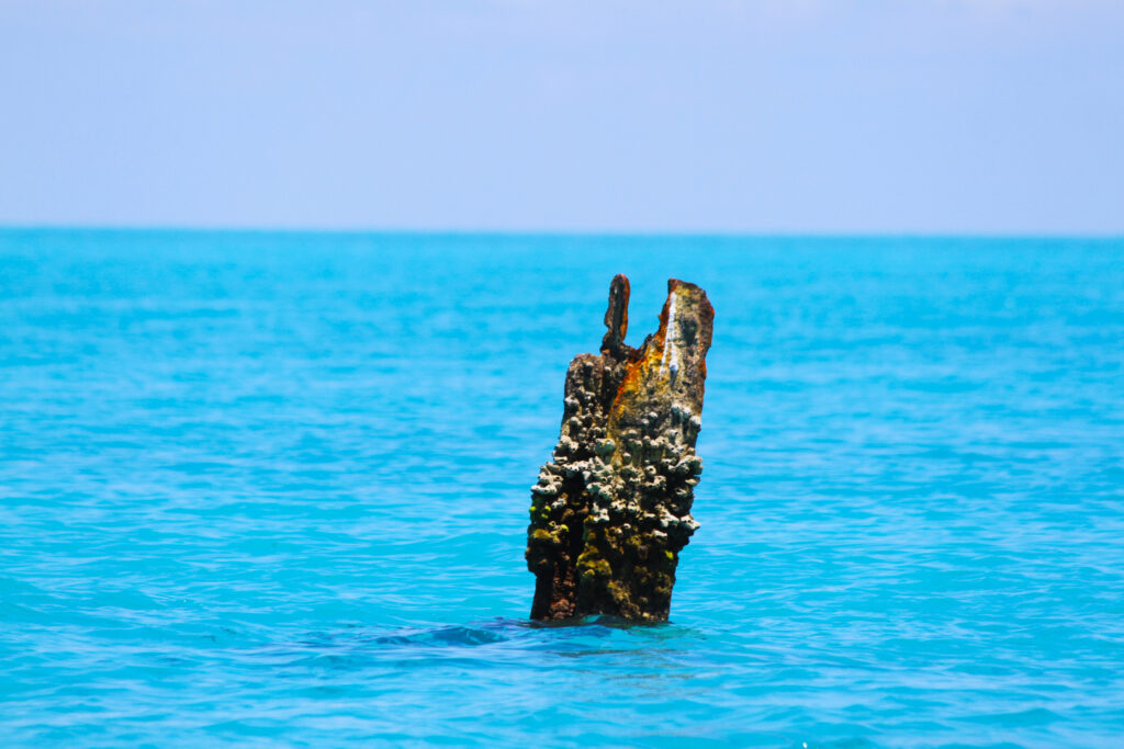 Very bright blue water with an encrusted stump sticking out of it.