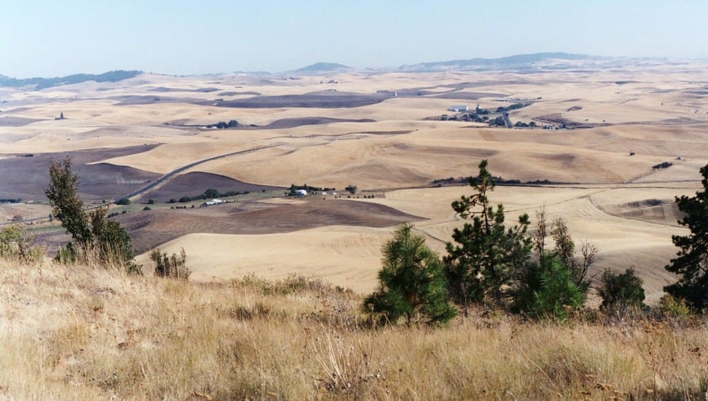 Palouse