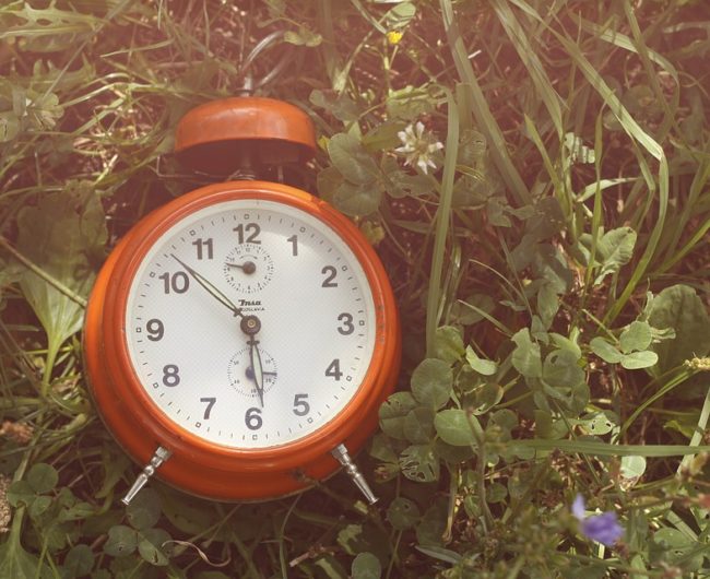 Red alarm clock lying in grass.