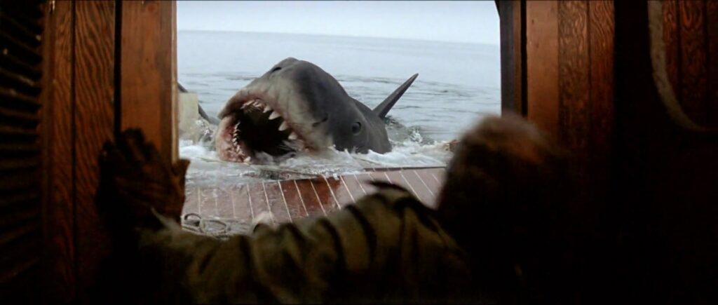 Image of a great white shark with its mouth open just outside the door of a boat. 